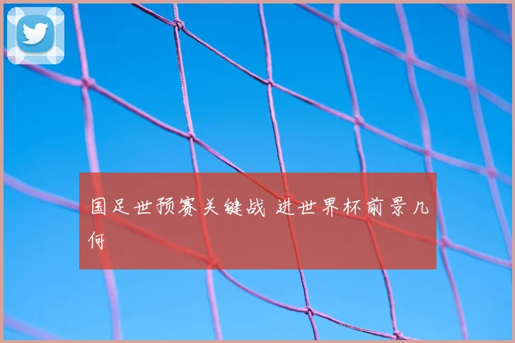 国足世预赛关键战 进世界杯前景几何
