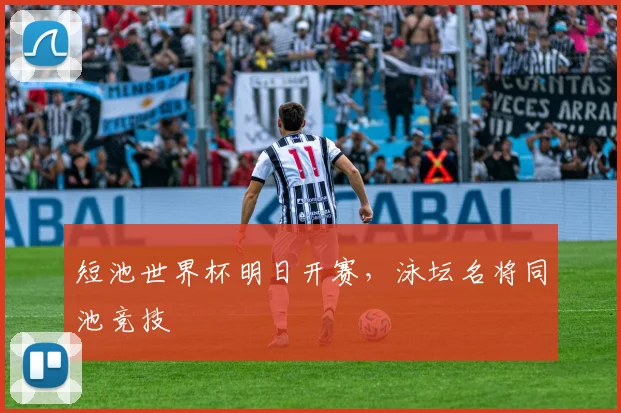 短池世界杯明日开赛,泳坛名将同池竞技