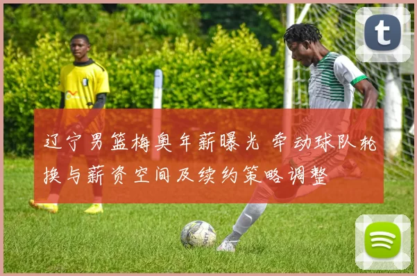 辽宁男篮梅奥年薪曝光 牵动球队轮换与薪资空间及续约策略调整