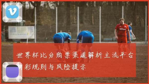 世界杯比分购票渠道解析主流平台购彩规则与风险提示