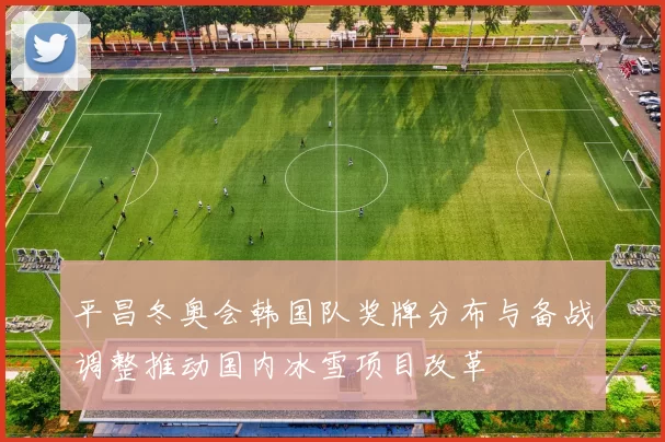 平昌冬奥会韩国队奖牌分布与备战调整推动国内冰雪项目改革